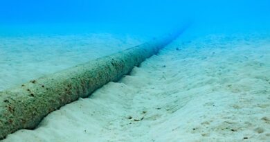 UK needs better defences to protect undersea internet cables from Russian sabotage