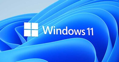 Windows 11 logo Bloom skewed