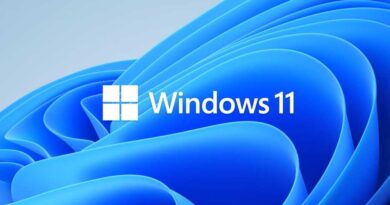 Das Windows 11 Logo