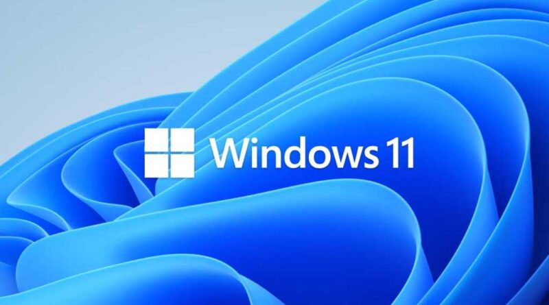Das Windows 11 Logo