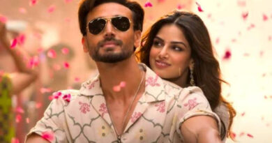 Here Baaghi 4 first review