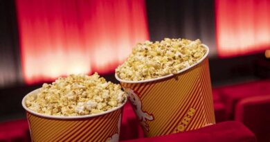 Risks involved in Celebrities coming up with multiplexes
