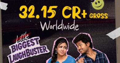 Little Hearts Crosses 30 Crores
