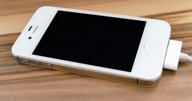 Halloween String Lights