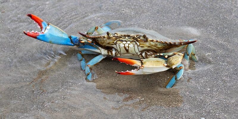 Amid CISA cuts, US state launches first VDP