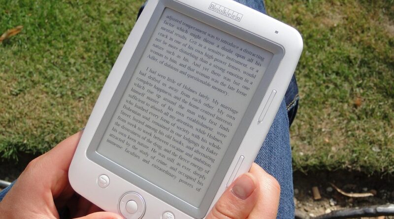 Brave Browser auf Smartphone-Bildschirm