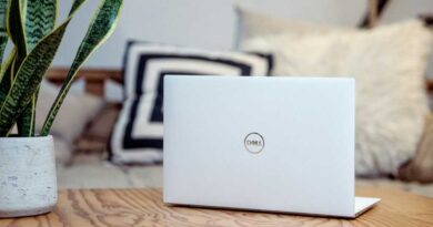 Dell laptop next to green plant in cozy home