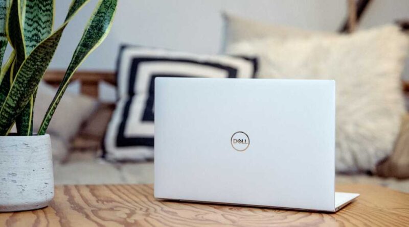 Dell laptop next to green plant in cozy home