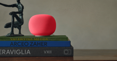Google Home Speaker in Berry
