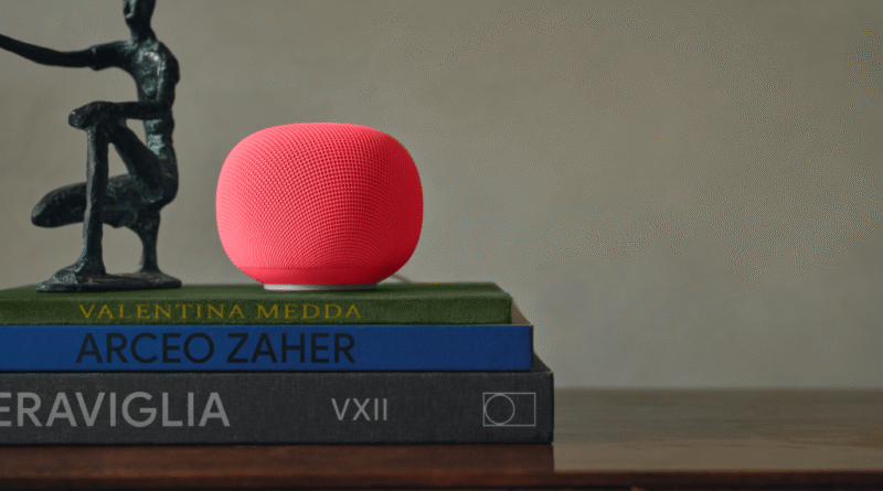 Google Home Speaker in Berry