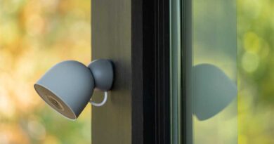 Nest Cam Outdoor hazel