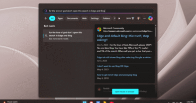 Windows 11 start search