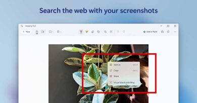 Windows 11 Snipping Tool action Visual Search with Bing screenshot