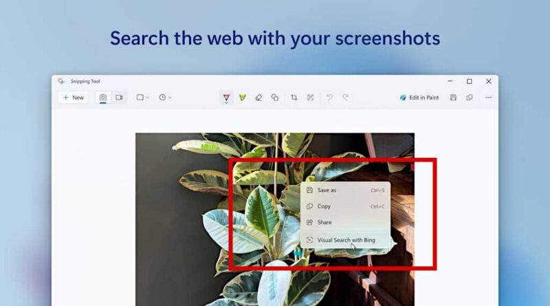 Windows 11 Snipping Tool action Visual Search with Bing screenshot