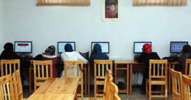 Software engineering limited by lack of full automation