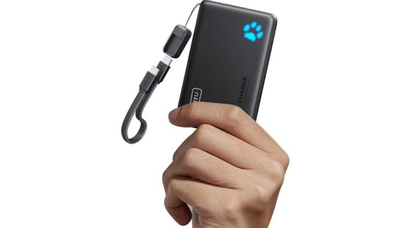 Iniu power bank