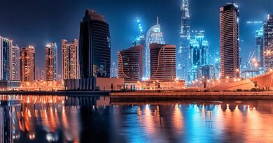 UAE AI minister: ‘We’ll have 10,000 AI companies in five years’