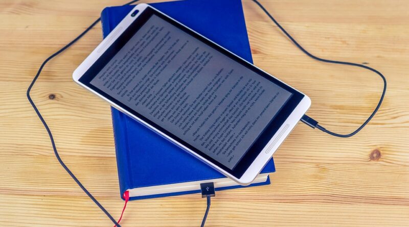 Vibe coding: A question of chicken feed or food