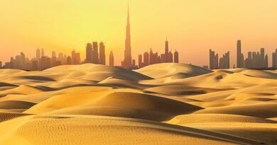 Vox pop: Digital transformation across the Arab world