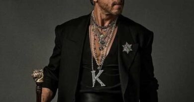 Truth in Shah Rukh action sequence from King leak