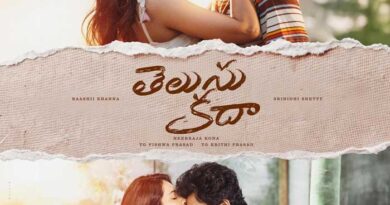 Why makers didnot realise this fact about Telusu Kada