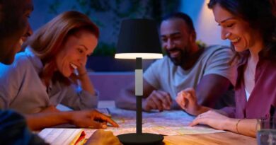 Philips Hue Go table lamp