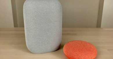 Google Nest speakers