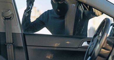 Autodieb mit Maske knackt Auto