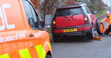 Interview: Ian Ruffle, head of data and insight, RAC