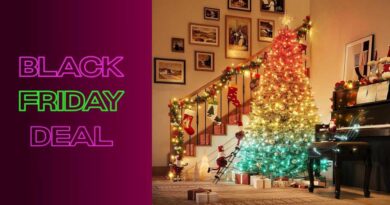 Govee Christmas sparkle string lights