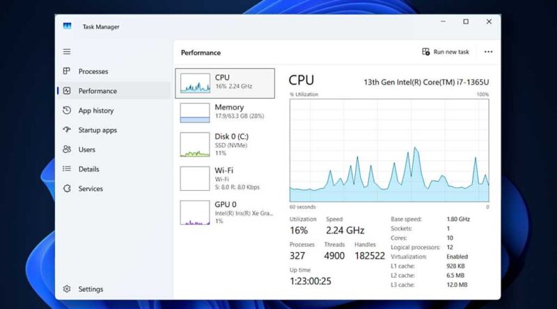 Task Manager performance tab overview screenshot
