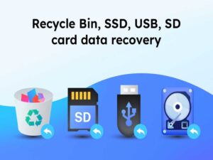 EaseUS Data Recovery Wizard: Lifetime Subscription