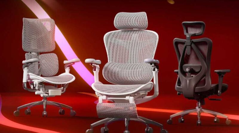 Sihoo Ergonomic Chairs Doro C300