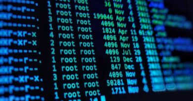 Linux Kommandozeile: Output eines ls -la Kommandos um Ordner und Rechte anzuzeigen