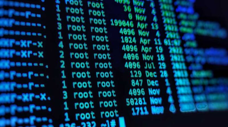 Linux Kommandozeile: Output eines ls -la Kommandos um Ordner und Rechte anzuzeigen