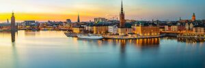 Swedish welfare authorities suspend ‘discriminatory’ AI model