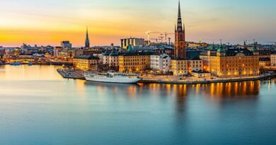 Swedish welfare authorities suspend ‘discriminatory’ AI model