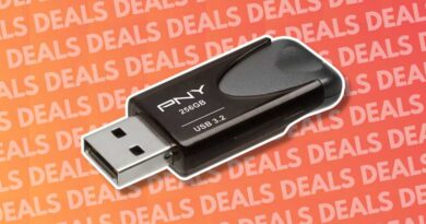 PNY Elite Turbo Attache 4 256GB USB flash drive deal
