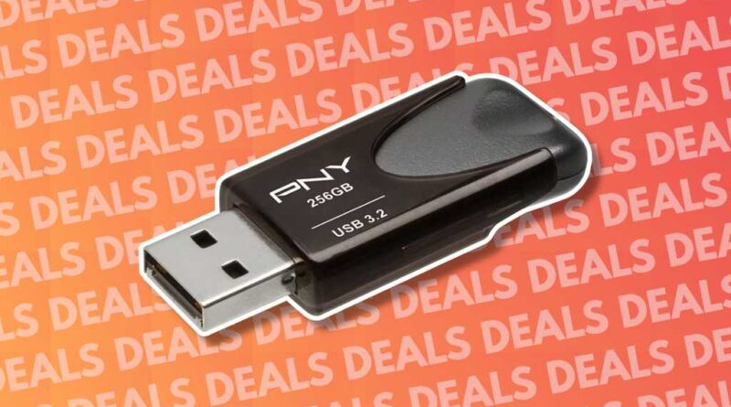 PNY Elite Turbo Attache 4 256GB USB flash drive deal