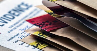 Unequal access: The digital divide in criminal justice