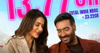 De De Pyar De 2 Two Days Boxoffice Collection