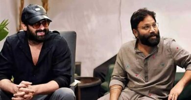 Spirit Has No Connection With Animal Franchise