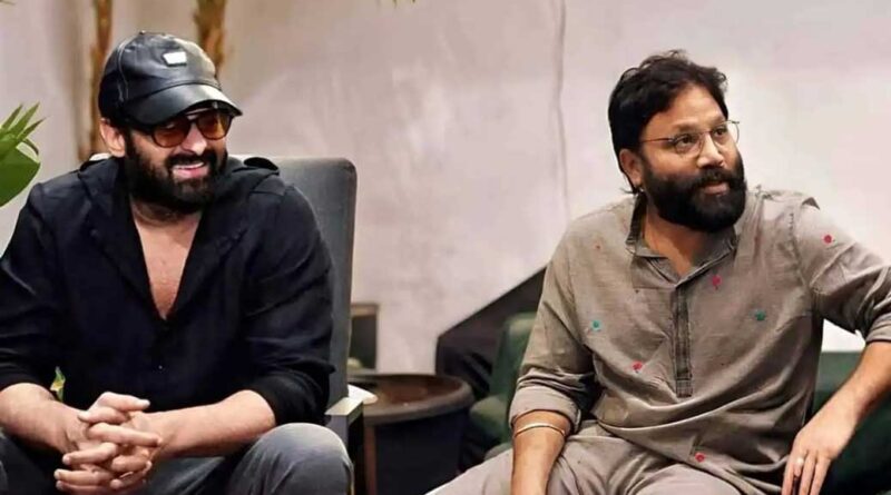 Spirit Has No Connection With Animal Franchise