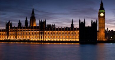 Error-prone eVisa system a precursor of digital ID