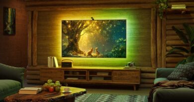 Govee TV Backlight 3 Lite