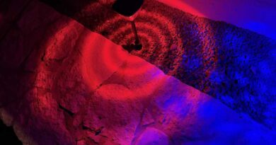 Single Linkind Solar Pathway Light SP6 at night