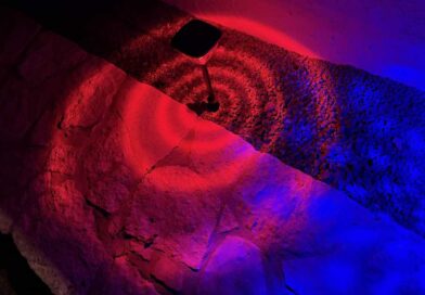 Single Linkind Solar Pathway Light SP6 at night