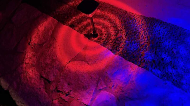 Single Linkind Solar Pathway Light SP6 at night