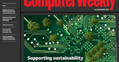 Supporting sustainability in IT