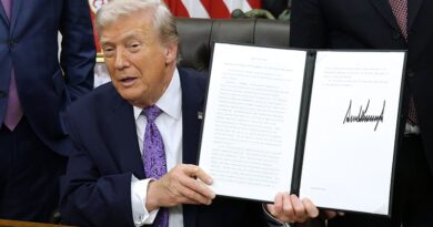 Trump plans bonfire of US state-level AI regulation